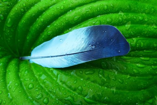 Totalna biologia – co to jest?